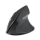 Kensington MY630 EQ Ergo Mouse - 1325085 - zdjęcie 3